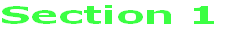 Section 1